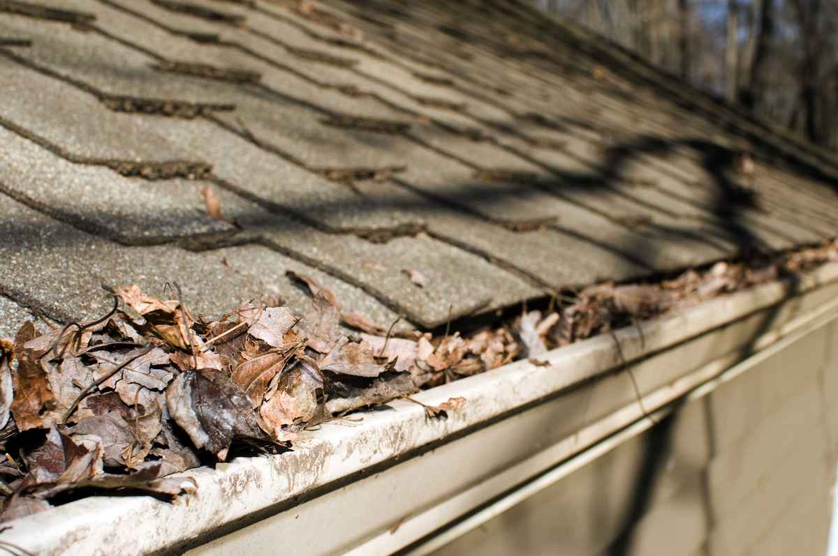 gutter replacement company