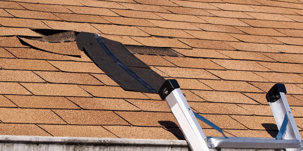 roof damage repair services