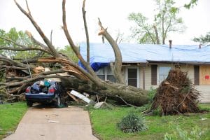 Hurricane Idalia, hurricane damage, roof damage repair, Jacksonville