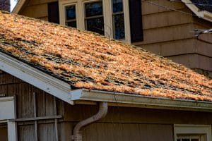 spring roof prep, spring roof maintenance, Craven